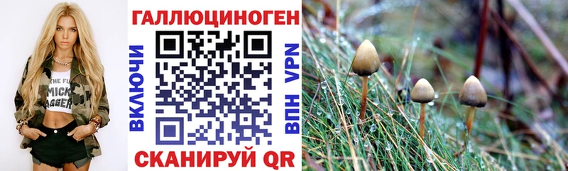 Псилоцибиновые грибы Psilocybine cubensis  блэк спрут зеркало  Серпухов  купить  